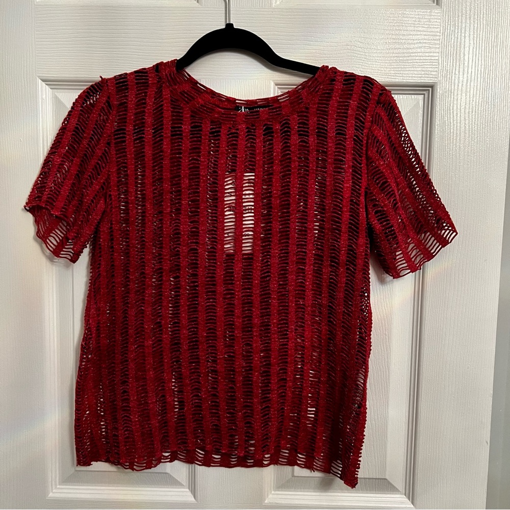 Mauve Zara fishnet top NWT